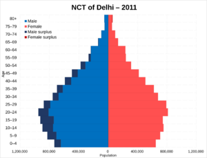 NCT of Delhi population pyramid in 2011
