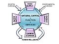 Natural Capital graphic