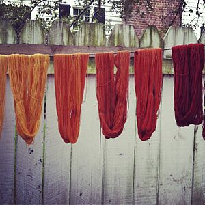 Naturally dyed skeins