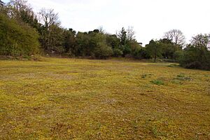 Open area near the Ridgeway (geograph 1888566)