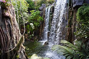 Palma Aquarium-La jungla