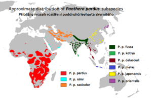 Panthera pardus subspecies map