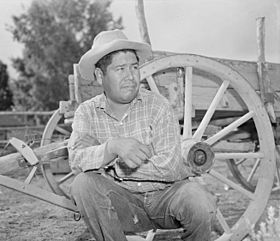Parker, Arizona. Henry Welsh, Mojave Indian and chairman of the tribal council of the Colorado Rive . . . - NARA - 536247.jpg