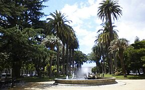 Parque de Las Palmeras Pontevedra capital