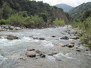 Río Clarillo km