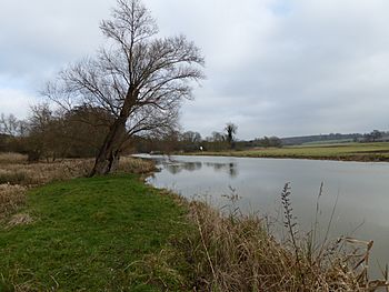 River Nene in Wadenhoe Marsh and Achurch Meadow 2