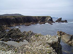 Rock formations - geograph.org.uk - 219305