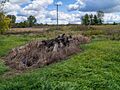 Ruins of the Ball Rd. Bridge