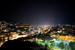 Sarajevo Night Skyline Bosnia & Herzegovina 2014 (15510458883)