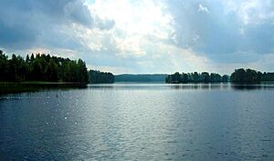 Mäntyharju is located in the Finnish lake region