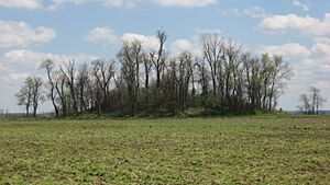 Sassafras Ridge Site mound