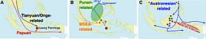 Schematic summary of population settlement in Insular Southeast Asia