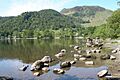 Sheffield Pike viewed from the shores of Ullswater - geograph.org.uk - 192921