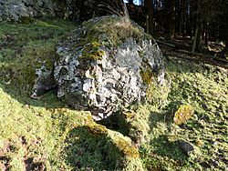 St Fillan's Holy Well and spring site, Kilallan, Renfrewshire. Boulder and the ruins of the well basin