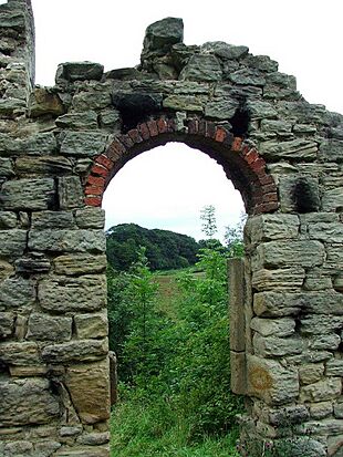 Starlight Castle - geograph.org.uk - 700534