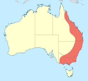 Map showing distribution of Telephlebia in eastern Australia