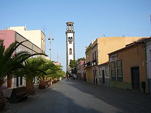Tenerife2005 062
