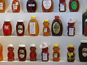 Texas State Fair honey