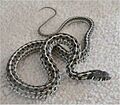 Thamnophis marcianus