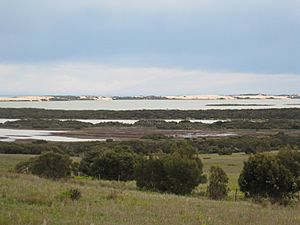The Coorong