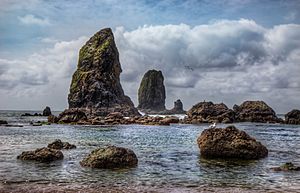 The needles at Cannon beach