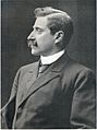 Verner von Heidenstam in the 1890s