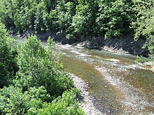 View Maury River Lexington Rockbridge County Virginia
