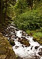 Wahkeena Falls