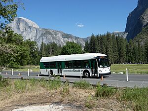 Yosemite Shuttle bus with Half Dome behind, May 2022