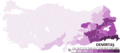 2014 Turkish Presidential Election-Demirtaş