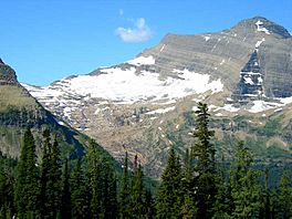 Agassiz Glacier 2005.jpg