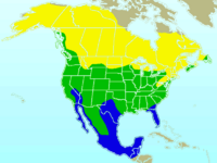 American Robin-rangemap.png