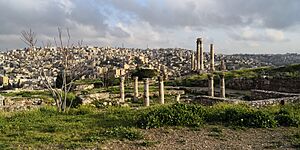 Amman citadel 9