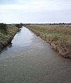 Asheldham Brook from Grange Outfall - geograph.org.uk - 240730
