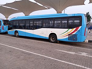 BRT Bus