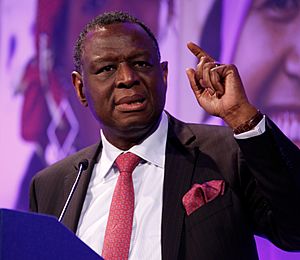 Babatunde Osotimehin at the London Summit on Family Planning.jpg