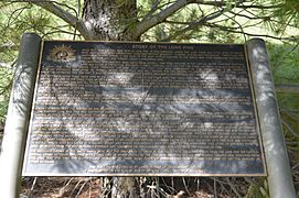 Balranald Anzac Park Lone Pine Plaque