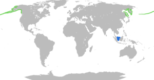 Bn,n,;Aleutian tern distribut1280px-World map blank gmt.svg.png