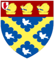 Brady (of Hazelbrook) Escutcheon