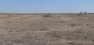 Charlie's Ruts facing up swale 1