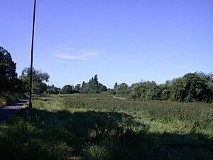 Coldham's Common - geograph.org.uk - 867534