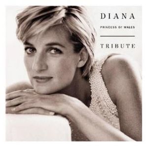 Diana-princess-of-wales-tribute.jpg