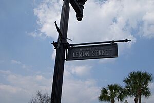 Downtown Palatka 021