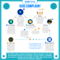 EEOC Claim Process Infographic