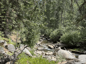 East Fork of the Kaweah River in Faculty Flats
