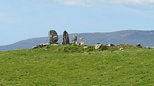 Eightercua Stone Alignment, Ring of Kerry (506549) (27422902643)
