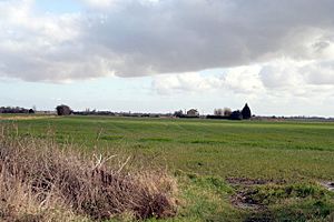 Farm on Meadow Drove, Bourne - geograph.org.uk - 128351