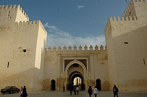 Fes - Palau Reial - Bab El Seba des N