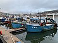Fish boats at Swansea Marina