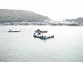 Fish farming in High Island, Hong Kong